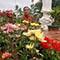 Nguyễn Đức Bính